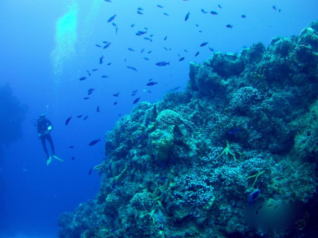 El Buceo en la Riviera Maya