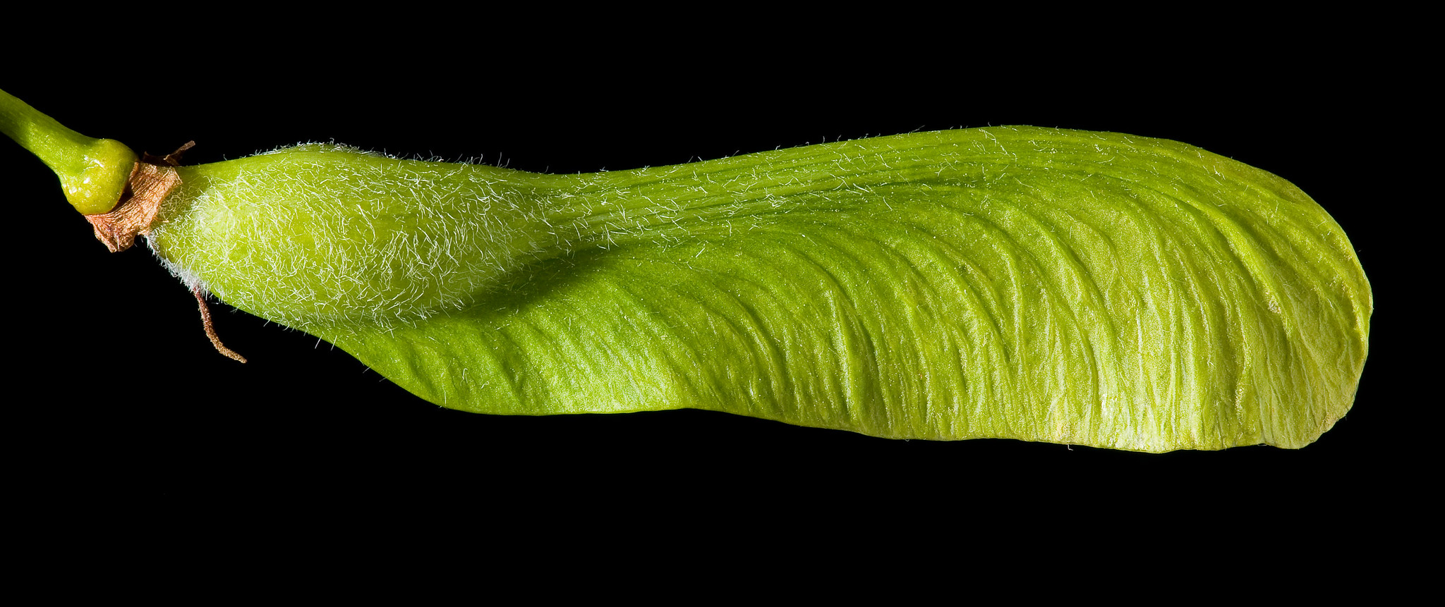 Beneficios de los Huracanes
