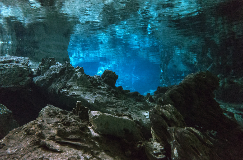 Tesoros Ocultos de la Riviera Maya 