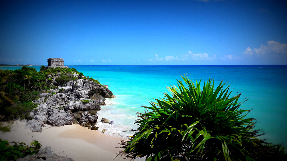 Responsabilidad Ecológica en la Península de Yucatán y la Costa del Caribe Mexicano